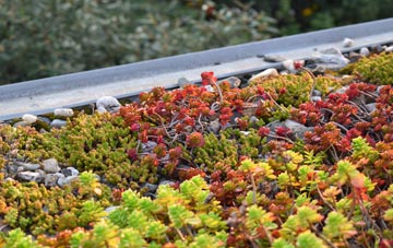 the cost of French Street green roof installation