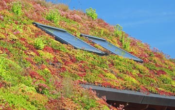 French Street living roof systems
